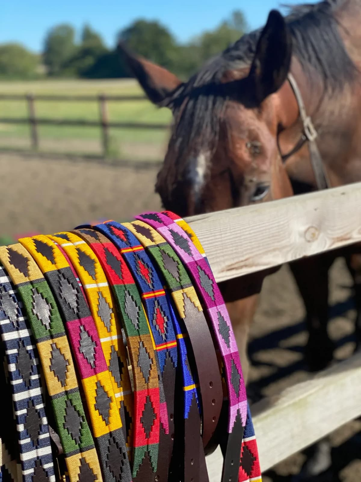 Polo Belt